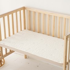 베이비드리밍롤