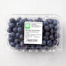충남 무농약 인증 블루베리, 200g, 1개
