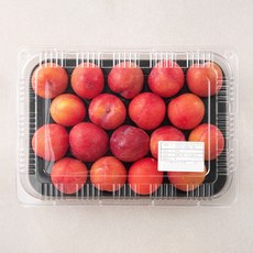 봄날가득농장 타이벡 대석 자두, 1.25kg(18입), 1개