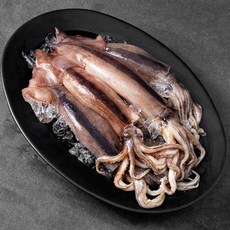 살맛나요 국내산 서해안 산지직송 생물오징어 (냉장), 1개, 1.1kg(5미)
