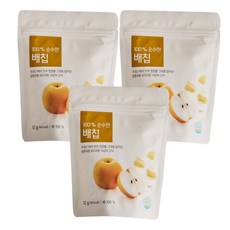 배칩