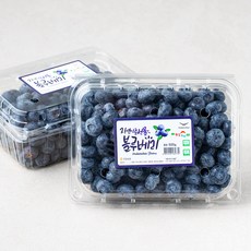 온담채 무농약 인증 조암농협 블루베리, 500g, 2개