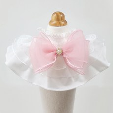 레이스빅케이프