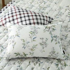 닥스침구아사헤이즐