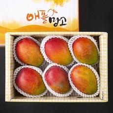 제주 애플망고 선물세트, 1개, 3kg(6~7입)