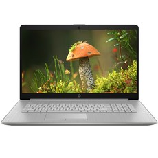 HP 2021 노트북 17s, cu0017TU, Windows 11 Home, 4GB, 256GB, 코어i3, 네추럴 실버