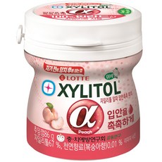 롯데자일리톨 알파 입안촉촉 피치 용기, 86g, 1개