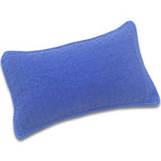 편백아트 프리미엄 편백 구슬형칩 베이직 베개, 연파랑, 1개