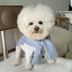 바이담수미 강아지 페이크가디건, 블루, 1개