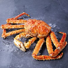 아라보감 산지직송 어제 찐 자숙 킹크랩, 1세트, 1.9kg