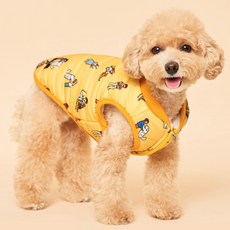 추천3 강아지.패딩