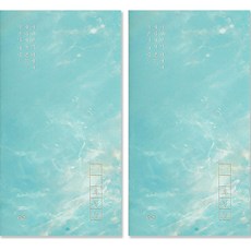 인도사이다 후일담 일기장 만년형 2p, 스카이