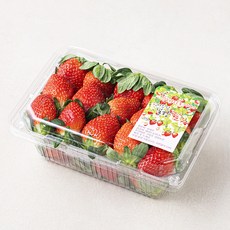 산지직송 스마트팜 김제 설향딸기, 750g, 1팩
