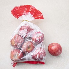 다조은 GAP 인증 청송사과, 1.6kg(중소과, 4~8입), 1봉