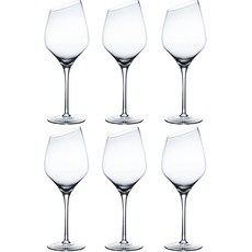 로체스터 로렌 와인잔, 6개, 450ml