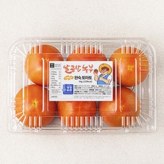 달콤한농부 스테비아 완숙토마토, 1kg, 1팩