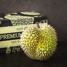 과일엔 프리미엄 두리안 선물세트, 2kg, 1개