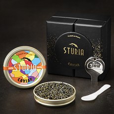 스투리아 오세트라 캐비어 구 선물세트, 30g, 1세트