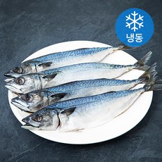 품질인증 안동 간고등어 (냉동), 2팩, 400g