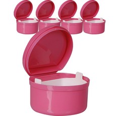 정월나나 틀니 치아 수납 보관 케이스 핑크 5p