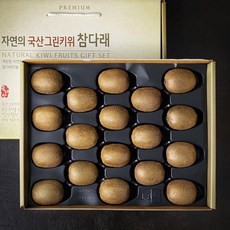 참다래 그린키위 선물세트 18개입, 1박스, 1.8kg내외