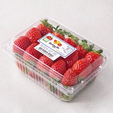 마시뜨라 사천 GAP 인증 설향딸기, 500g(상), 1개
