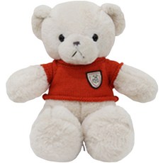 아이아라 시리즈 애착인형, 42cm, 2 주황 니트곰