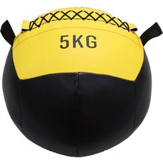 순잠 헬스 소프트 웨이트볼 5kg, 랜덤발송