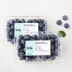 좋은하루 생생 블루베리 특대, 200g, 2개