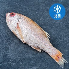 양포어장 국내산 손질 반건조 눈볼대 금태 (냉동), 400g, 1개