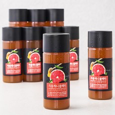 서울에프엔비 자몽 허니블랙티, 280ml, 12개입