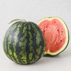 한반도 못난이 수박, 7kg 이상, 1개