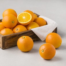 좋은하루 블랙라벨 오렌지 미니, 3kg, 1개