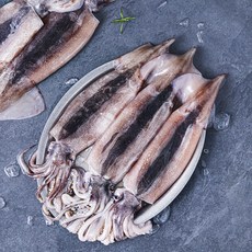 부산 13번 중매인 국내산 초코 오징어, 1.6kg(대 5미), 1개
