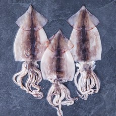 부산 13번 중매인 국내산 초코 손질 오징어, 750g(대 3미), 1개