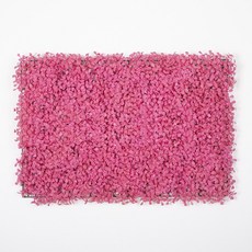 Closer than Salz to Nature 米蘭微型植物 40 x 60 cm, 1個, 粉色