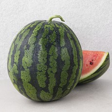 좋은하루 산지직송 받아서 바로먹는 아이스 수박, 5kg 미만, 1개