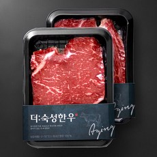 더숙성한우 산지직송 등심 250g + 채끝 250g 2등급 구이용 세트 2호 (냉장), 1세트