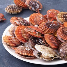 단디프레시 생물 비단가리비 (냉장), 1kg, 1개