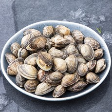 다복 청정바다를 담은 완도산 바지락 (냉장), 1.5kg, 1개