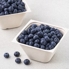 아주마 무농약 인증 산지직송 영동 특 블루베리, 250g, 2팩