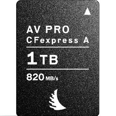 엔젤버드 AV PRO CFexpress Type A 메모리카드 AVP1T0CFXA, 1TB