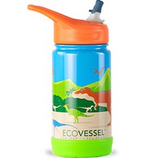 에코베슬 아동용 프로스트 스텐 손잡이 빨대 물병, 다이노소어, 355ml