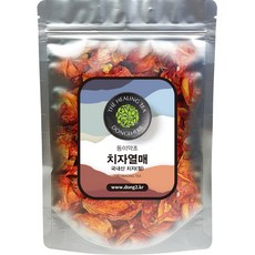 동이약초 치자열매, 500g, 1개