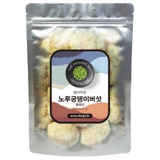 동이약초 중국산 노루궁뎅이버섯, 250g, 1개