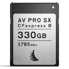엔젤버드 AV PRO CFexpress Type B SX CF카드 AVP330CFXBSX, 1개