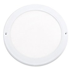 번개표 LED 엣지 슬림 원형 25.4cm 직부등, 1개 화이트(직부등), 주광색(전구), 1개