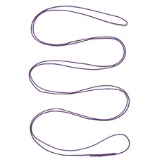 Black Diamond 10 mm Dynix 跑者, 紫色