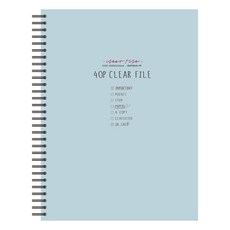 톡톡팬시 스프링 클리어 파일 40p, 스카이블루, 1개