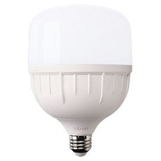 비츠온 LED T-벌브 40W E26, 주광색, 1개 - tb40led